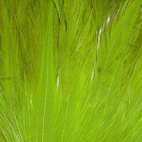 Hareline Saltwater Neck Hackle