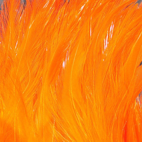 Hareline Saltwater Neck Hackle