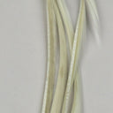 Hareline Stripped Goose Biots