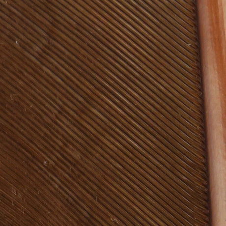 Hareline Turkey Biot Quills