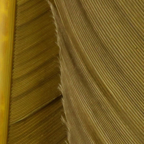 Hareline Turkey Biot Quills