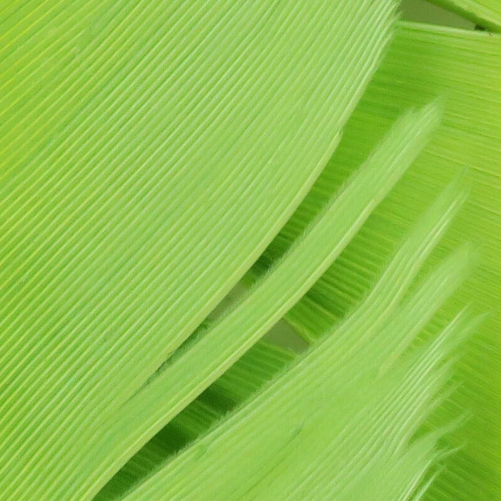 Hareline Turkey Biot Quills