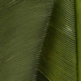 Hareline Turkey Biot Quills
