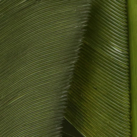 Hareline Turkey Biot Quills