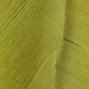 Hareline Turkey Biot Quills