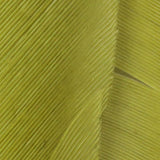 Hareline Turkey Biot Quills