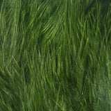 Hareline Woolly Bugger Marabou