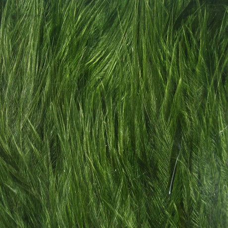 Hareline Woolly Bugger Marabou