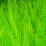 Hareline Woolly Bugger Marabou