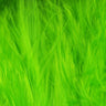 Hareline Woolly Bugger Marabou