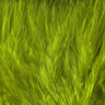 Hareline Woolly Bugger Marabou