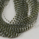 Chicone's Crusher Leg olive barred