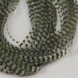 Chicone's Crusher Leg olive barred