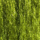 Sparkle Emerger Yarn