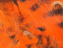 Hareline Black Barred Rabbit Strips