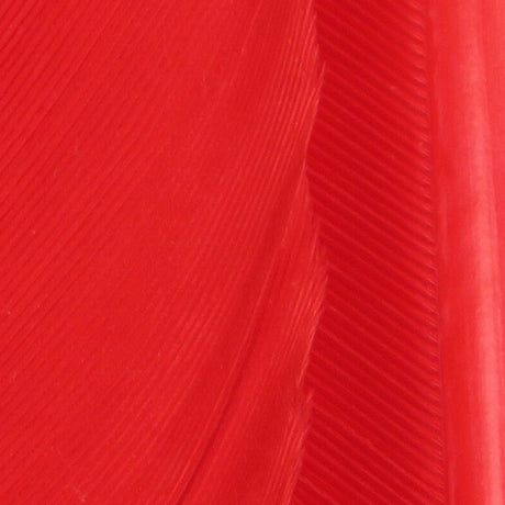 Hareline Turkey Biot Quills