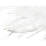 Hareline CDC Feathers White