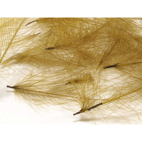 Hareline CDC Feathers BWO