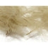 Hareline CDC Feathers Callibaetis