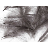 Hareline CDC Feathers Dark Dun