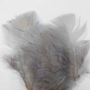 Nature's Spirit Turkey Flats
