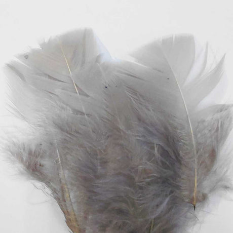 Nature's Spirit Turkey Flats