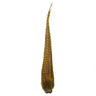 Veniard Cock Pheasant Tail - Complete