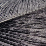 Veniard Ostrich Herl