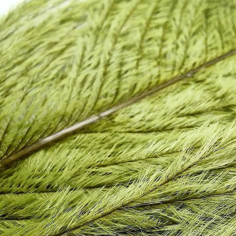 Veniard Ostrich Herl