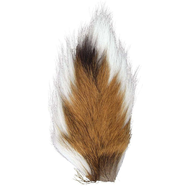 SRBUCKTAIL.jpg