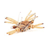 Alphlexo Crab tan