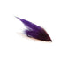 Strip Leech black purple