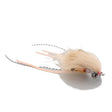 Spawning Shrimp