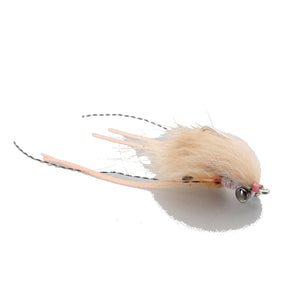 Spawning Shrimp