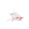 Gotcha Sili Legs pink