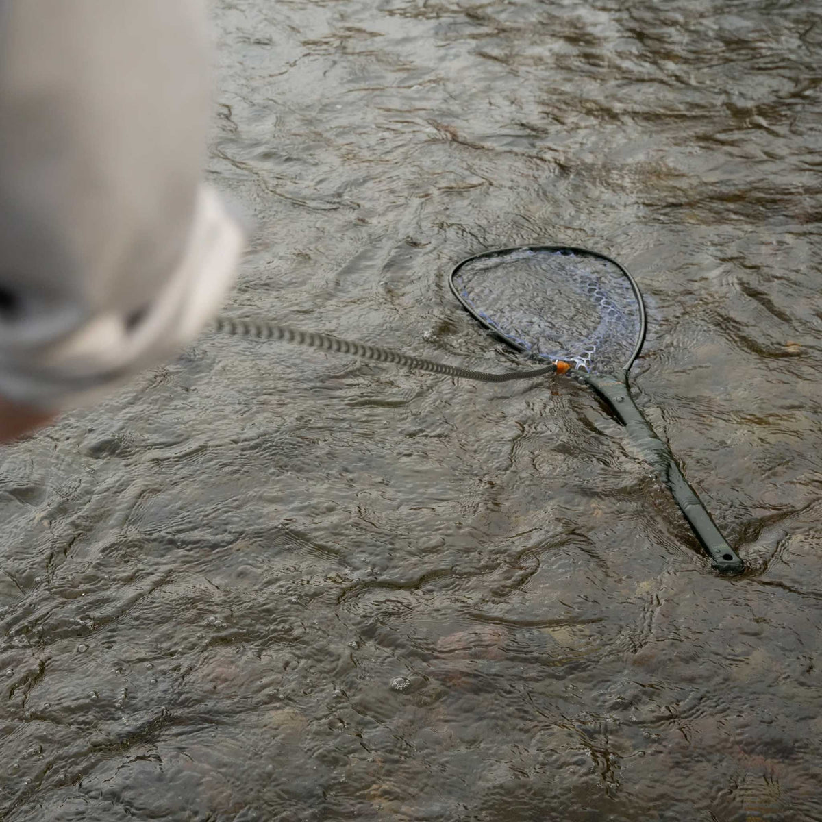 Fishpond Confluence Net Release