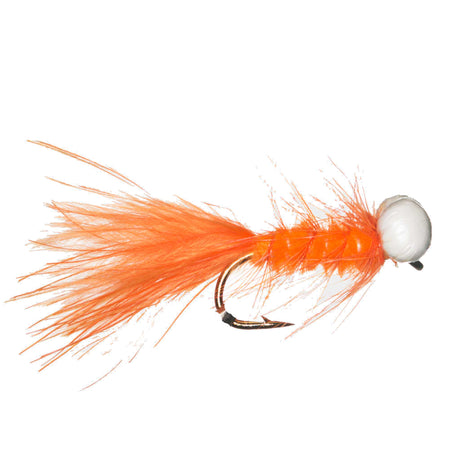 Booby Fly