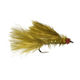 Red Eye Damsel