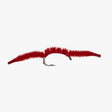 San Juan Worm