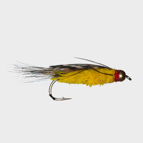 Trout Frog