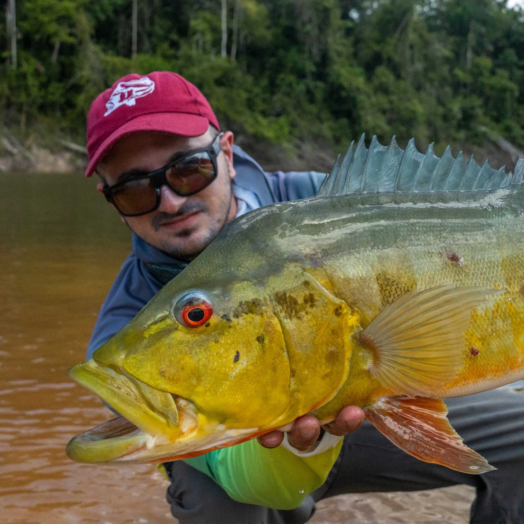 peacock bass amazon fly fishing