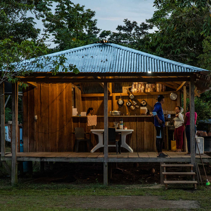 amazon rain forest fishing