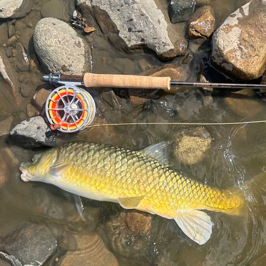 Sage Arrow Fly Rod Smallmouth Yellowfish