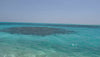 Maldives Fly Fishing Flats 