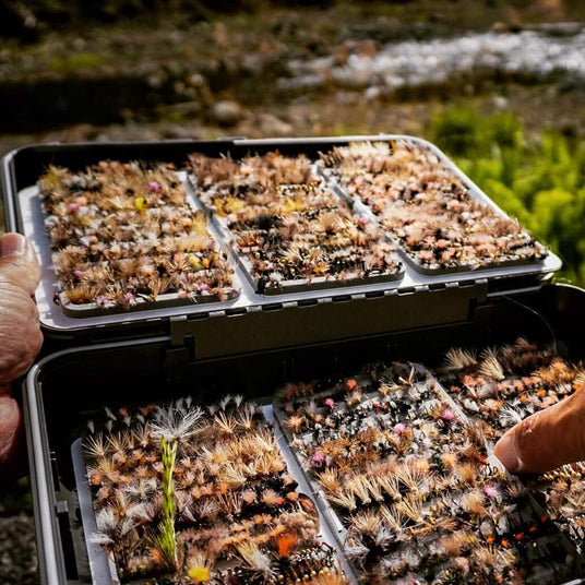 Barbed versus barbless hook point closeup